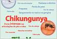 Febre amarela, dengue, zika e chikungunya entenda as doenças do